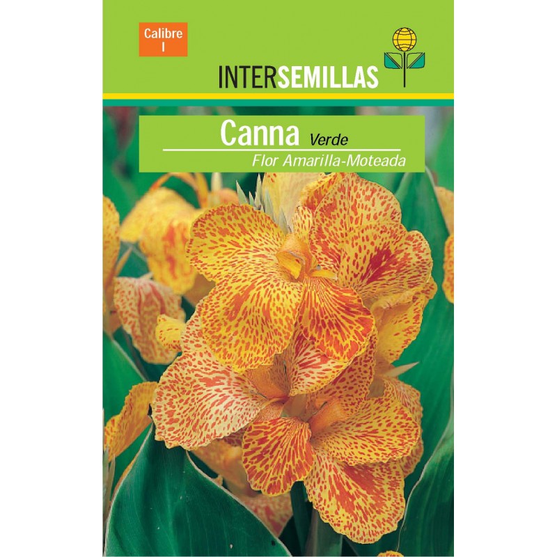 Bulbo Canna Verde Flor Amarilla-Moteada por  € en Viveros Laraflor